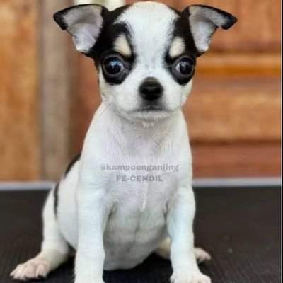 saygoodbye94_'s profile picture. 