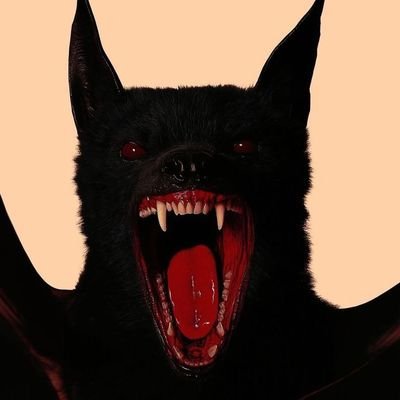 bellydweller140's profile picture. Queer - looking (gay) shinigami