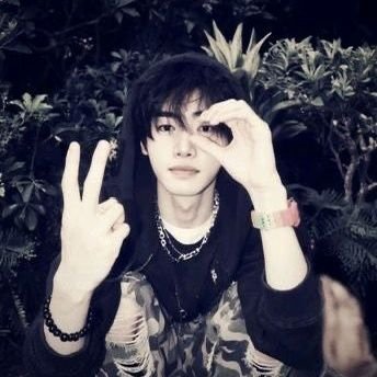 didinbloom's profile picture. #tae     
backgroundㅤしㅤ infpㅤㅤׅㅤㅤ🌰