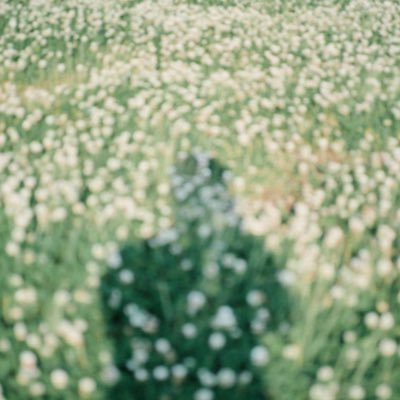 morojiff's profile picture. 写真を撮っています │ Digital & Film │ Leica M6 / SIGMA fp │ Still,life京都 11/29,30 GALLARY METABO