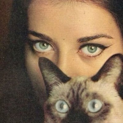 loaloyal's profile picture. loa