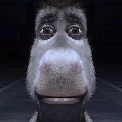 ratoiel's profile picture. this is my place, my house, my rules