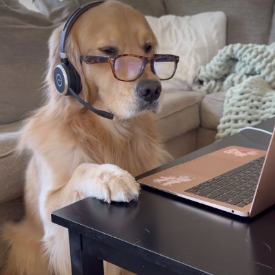 cybading's profile picture. ✧˖°🧠𝚿👩🏻‍⚕️🎀༘

filo  |  18+  |  she/they

fCHRA '28 | fRPsy '28 | fRPm '29