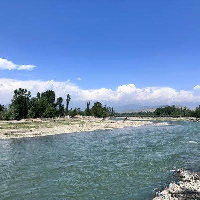 Umar192101000's profile picture. 