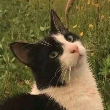 Gavylii's profile picture. 