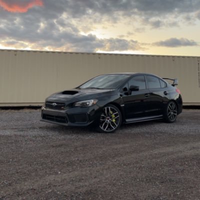 ScottInTheZoo's profile picture. 