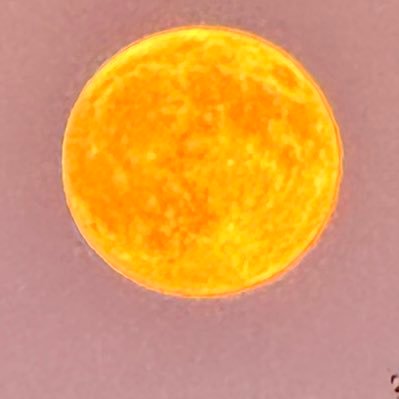 quhaen's profile picture. 