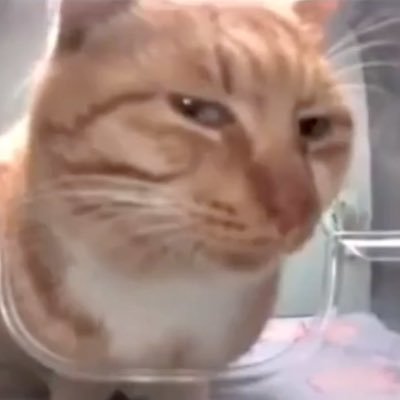 pelukciummuahh's profile picture. Engineer | Akun sambat | Taken