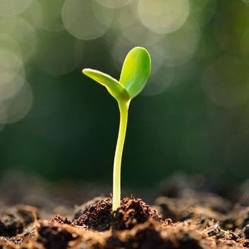 luka71374's profile picture. 온화커AP17 | 생존커이화율 | 레보커카일 | 종착커이시현 | 낙화커리베르 | 서스커루카스 | 후위커 이시온