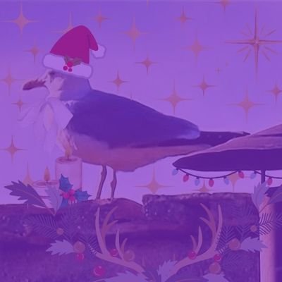 kiwi_pasta's profile picture. current interests: mob psycho, haikyuu, reverse 1999, (BBC & CBS)ghosts, HBOwar trilogy, top gun, ❗F1❗, supernatural, jurassic park, conclave, ❗ATEEZ❗❗DA PITT❗