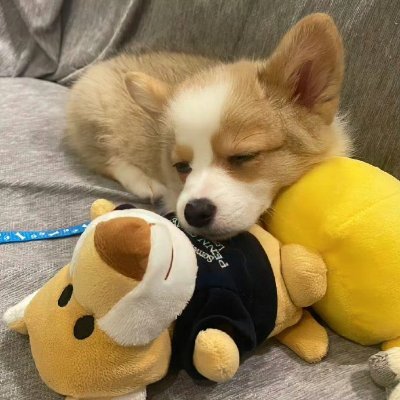 LenaQuinn_n's profile picture. Driven by passion for growth, fitness, and making meaningful connections with people.