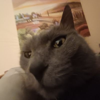 mitzkinfn's profile picture. 17🇮🇱
Content Creator for @FearTWP
twitch: mitzkinfn
for business inquiries contact: mitzkininquiries@gmail.com