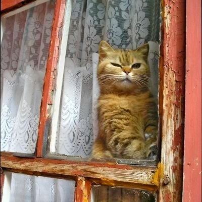 abderoud's profile picture. Fan of painting #Art #Paint #Gallery #ClassicPainting #Painting