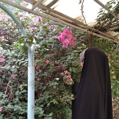 zhr1535513's profile picture. أنا امرأة إيرانية، فخورة بانتمائي لمحور المقاومة، تحت قيادة الإمام الخامنئي، مستلهمة من تضحيات شهدائنا الأبرار الذين أضاءوا درب الحرية🇮🇷