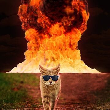 synthesoul's profile picture. 🇲🇽 |• Dalilover 🤪 |• Fan de los segundos lugares 👑 |• LingOrm & GinJ fan🫰|