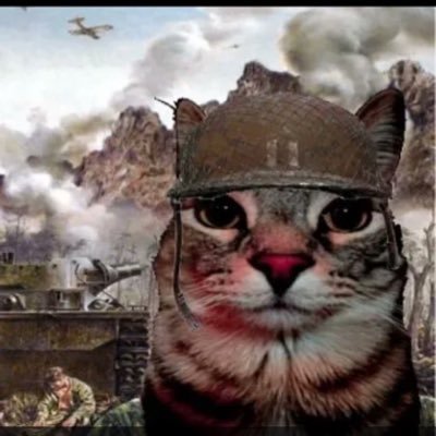 rodeo0525's profile picture. 