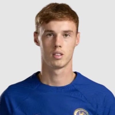 palmerfedaisi's profile picture. Avukat ⚖️ fenerli değil