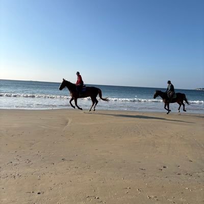 bouchillou31092's profile picture. 