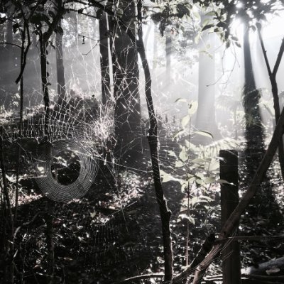 usako_ren's profile picture. Remember HANA🌸No.66 

#旭川女子中学生凍死事件
#再捜査を求めます
#私たちは少女を忘れない

#宮城若林警察署相談中
#ここからの名前等の乱用全てお断り
#シカトしてうざい基地外連中迷惑 
#東北エリア基地外風俗店関係者お断り
#プロフィールリンク内東北エリア風俗関係者お断り