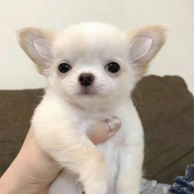 MiraVee_'s profile picture. Always learning, always growing. Dedicated to health, wellness, and embracing life’s new adventures.