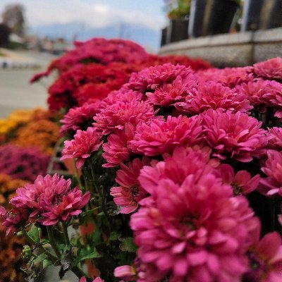 Bnt7645's profile picture. إِنَّ صَلَاتِي وَنُسُكِي وَمَحْيَايَ وَمَمَاتِي لِلَّهِ رَبِّ الْعَالَمِين