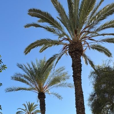 Bakedlaysbinch's profile picture. ♋️ ♌️ ♓️ • liberation for all • she/they