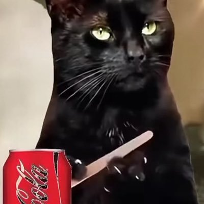 fabio_rovs's profile picture. im just try to be a normal person