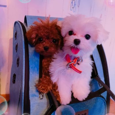 EyeOf_Justice1's profile picture. You may think you’re exploiting others, but it might be you who is being exploited.