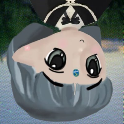 sleeebcorp's profile picture. sleeebcorp