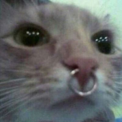 yyytjw's profile picture. іллюшко ти похожий на маньїчелу