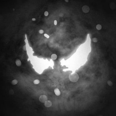 Kiku_Venom's profile picture. I eat jeet brains 🧠, crush paper hands ✋💸, and rule the madness 🤯. 

Together, we dominate the markets 📈💥 and leave fear in our wake 😱🔥 $ETH $BTC $ZIG