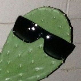 cactushuyaar's profile picture. 