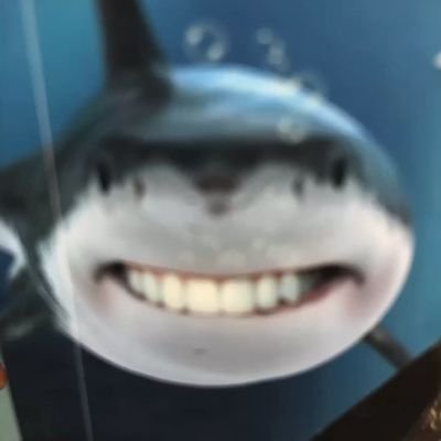 hamintopan's profile picture. eak ngapain😹😹😹😹😹😹😹😹😹😹😹😹😹😹😹😹😹😹😹😹😹😹😹😹😹😹😹😹😹😹😹😹😹😹😹😹😹😹😹😹😹😹😹😹😹😹😹😹😹😹😹😹😹😹😹😹😹😹😹😹😹😹😹😹😹😹😹😹😹😹😹😹😹😹