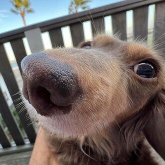 PiG9PUzXQJ1805's profile picture. 29歳。サーファーでパパ。
日常の気になった事をキーワードにして、それを元に物語を作成して投稿しています。
商品紹介もできるようになりたいと思ってます！