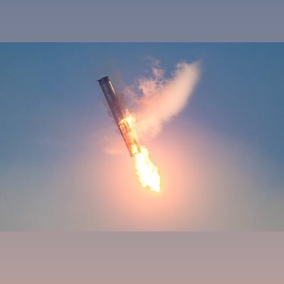 elon_Xp4's profile picture. the people voted for a major government reform 🇺🇸🇺🇸🇺🇸