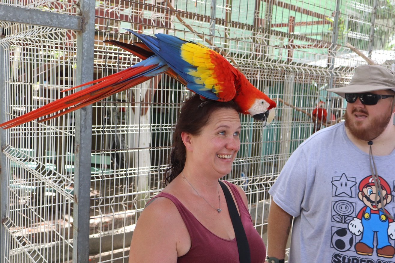 justamyy63's profile picture. Proud mom of a teacher, athlete & free spirit 💛 Future LPN ➜ RN 💉 Living loud with travel, football & good vibes only ✨