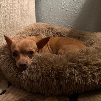 aleg8trr's profile picture. (pearl scream) IM MARRIEEEEEEDDD