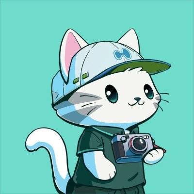 0xzevaa's profile picture. 