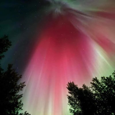 Gardenlady224's profile picture. Love my family & friends, my dog ProudCanadian, small town gal, FreeSpeech, TruthSeeker, Justice, Art, Music, Gardening, Sports, Photography, Travelling NO DMS