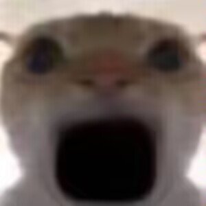 a64543387's profile picture. 不色不看