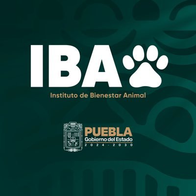 IBAGobPue's profile picture. Fomentar y promover la cultura del Bienestar Animal