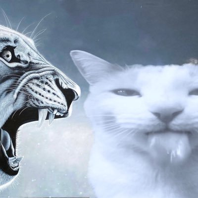 geaaaaa0's profile picture. 