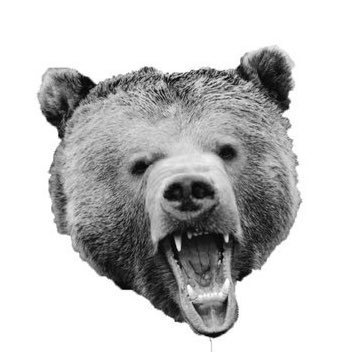 4byROFL's profile picture. entrepreneur, legal professional commits to Fintech, republican for Biden, father of two sweet girls, and blue devil