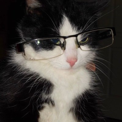 wbbinie_'s profile picture. 🪽