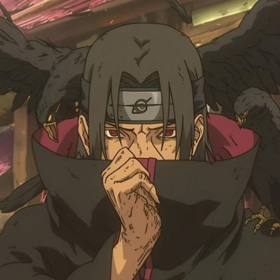 whotfcalled911_'s profile picture. words words words