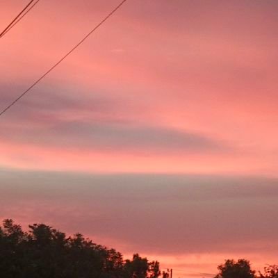 vapidcorona2011's profile picture. no se