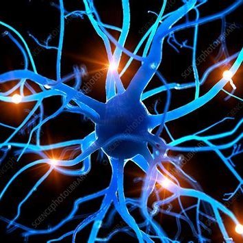 taterstjb's profile picture. bassist for @stvsbrkfst - salem (actually dallas) TO, and UP AND COMING pnw pika main - he/they - private twt: @t8rstjb
link for my band below \/