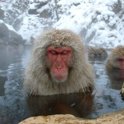 Hustler1320's profile picture. vendeur2puff