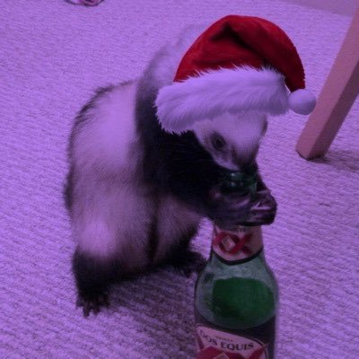 maybebitterxox's profile picture. do I win the prize? do you regret bringing me back to life? // aka irl daniel oz osbourne, bufftillow CEO & number 1 Martha Jones fan ever #FreePalestine 🇵🇸