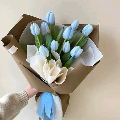 LinaMohamm5's profile picture. لا قوة كقوة الضمير ولا مجد كمجد الذكاء...💙